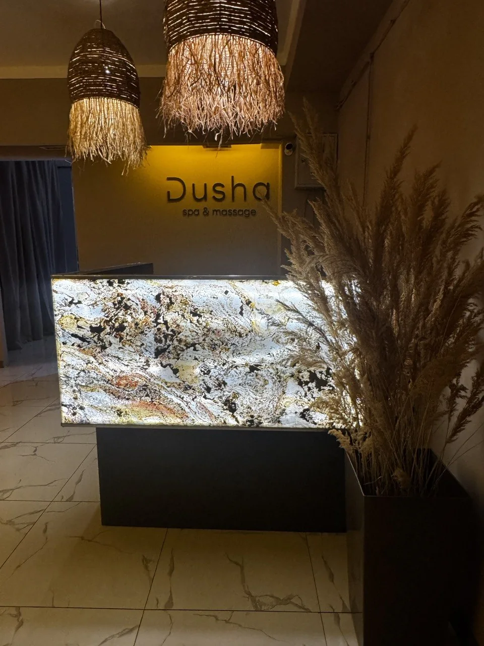 Dusha SPA Art Villa — ресепшен